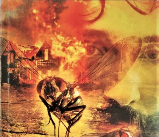 The locked room and other horror stories